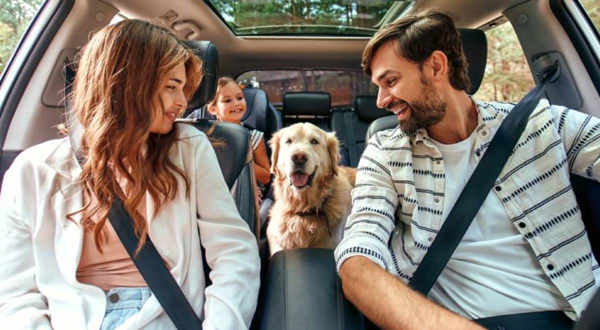 Florida Auto owners with Auto insurance coverage