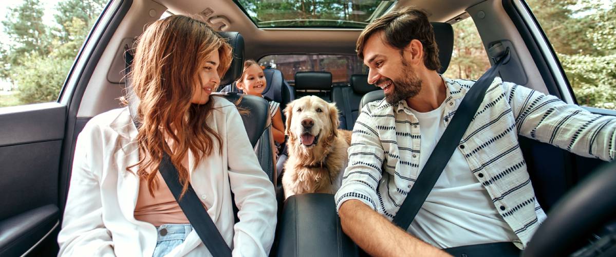 Florida Auto owners with Auto insurance coverage